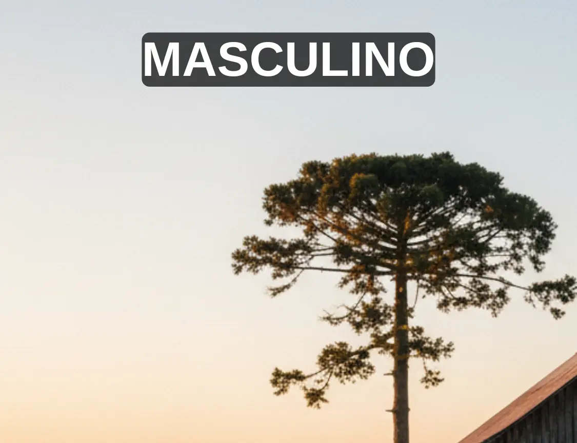 Mini banner