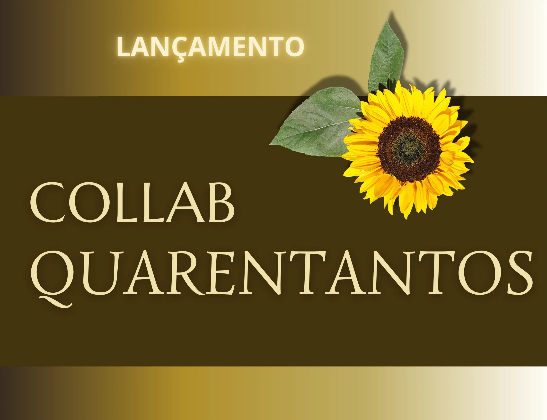 Mini banner