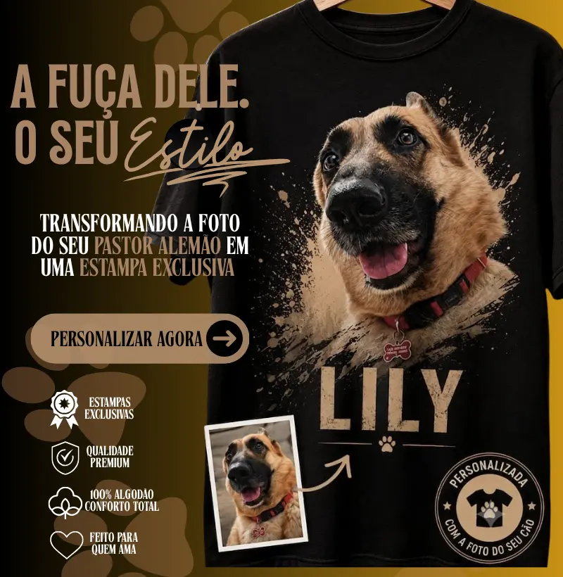 Imagem 0 da seção 6