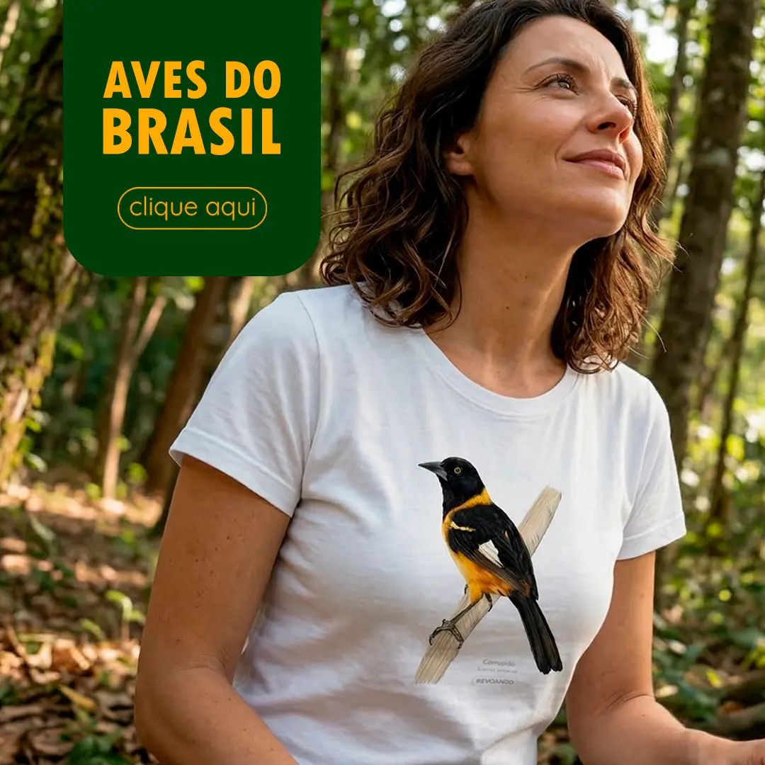 Imagem 0 da seção 2