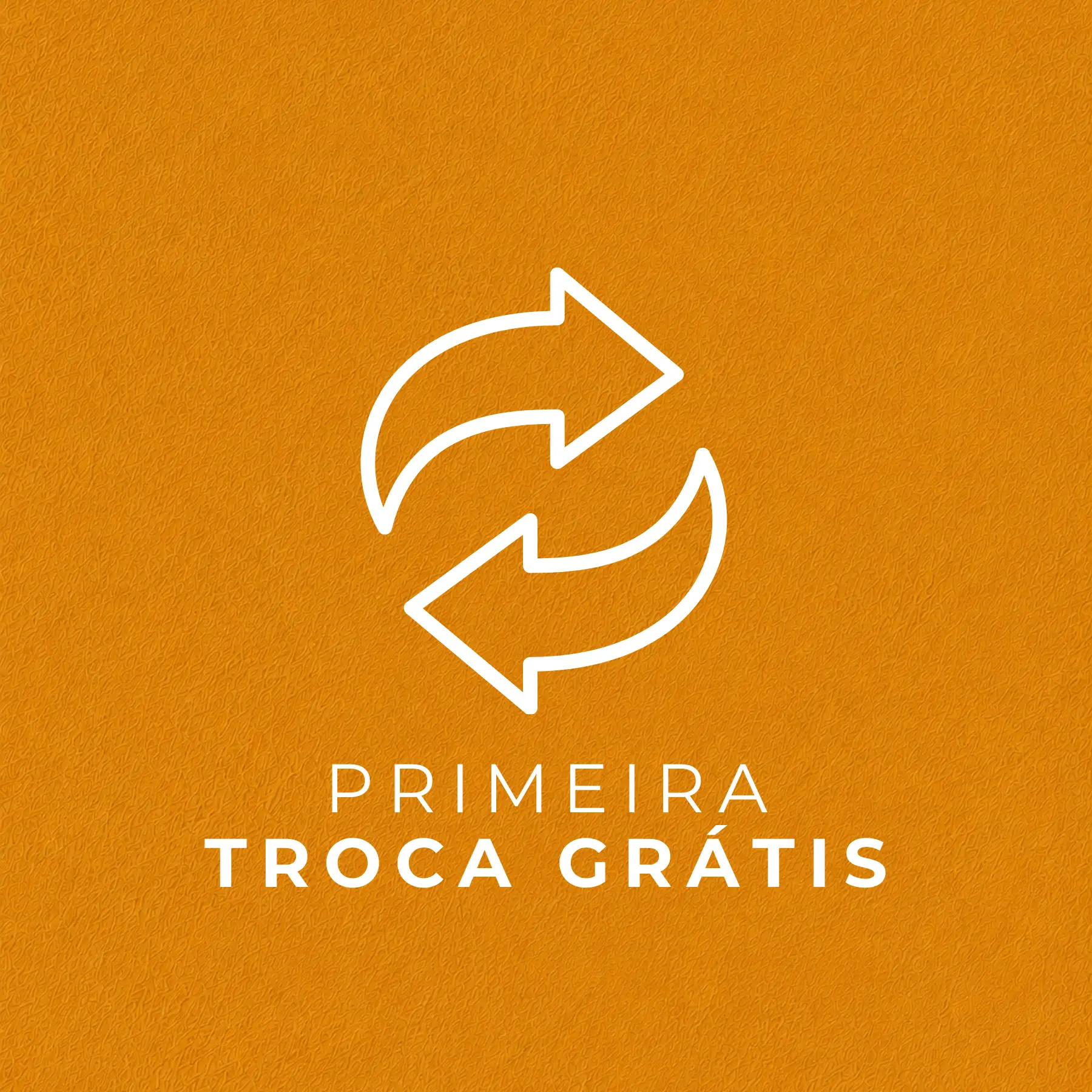 Imagem 3 da seção 9