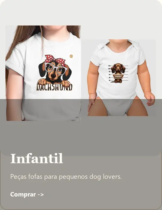 Imagem 3 da seção 2