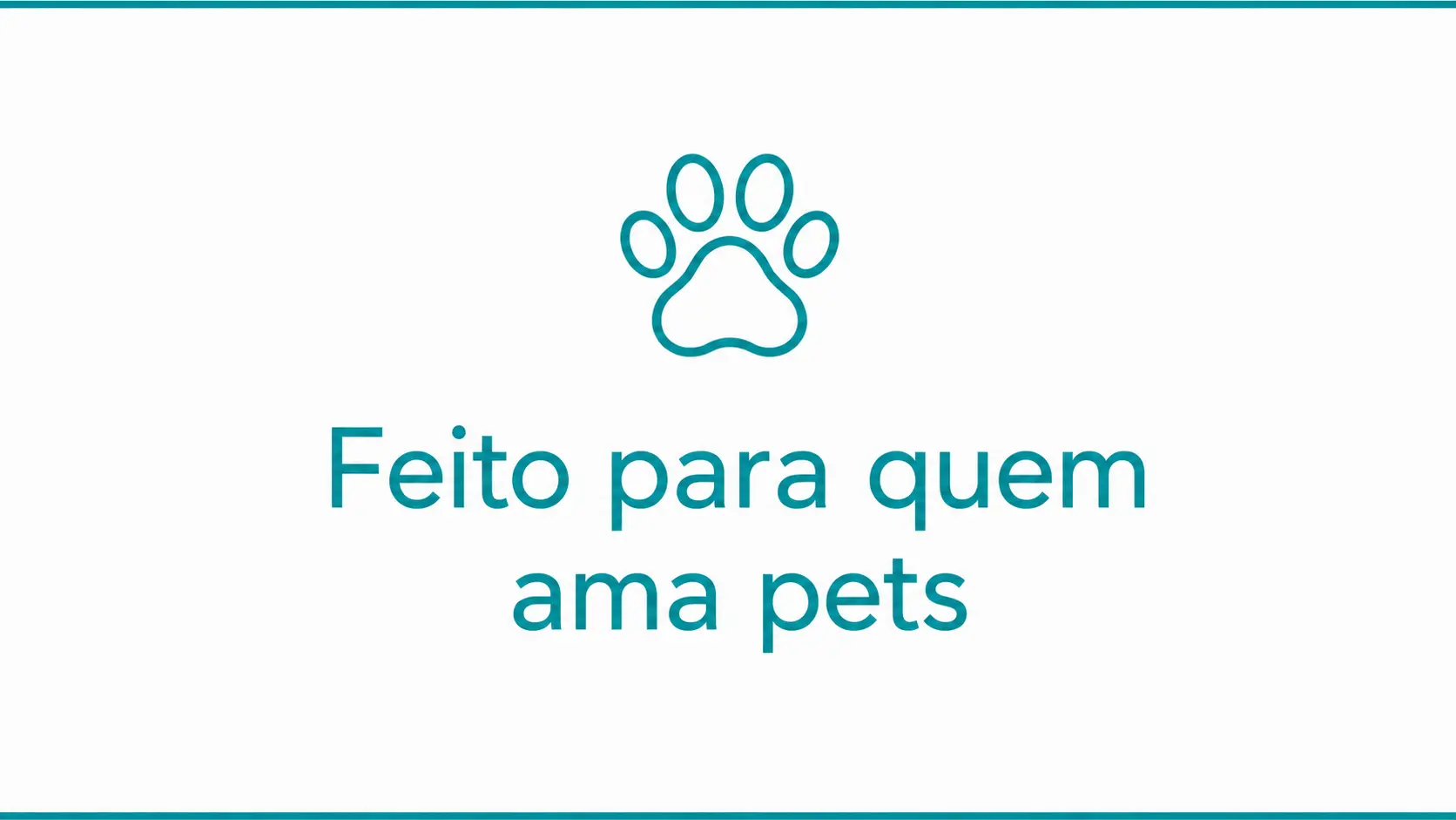 Imagem 4 da seção 1