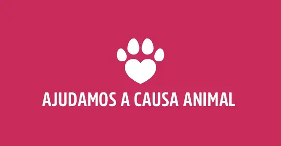 Imagem 2 da seção 1