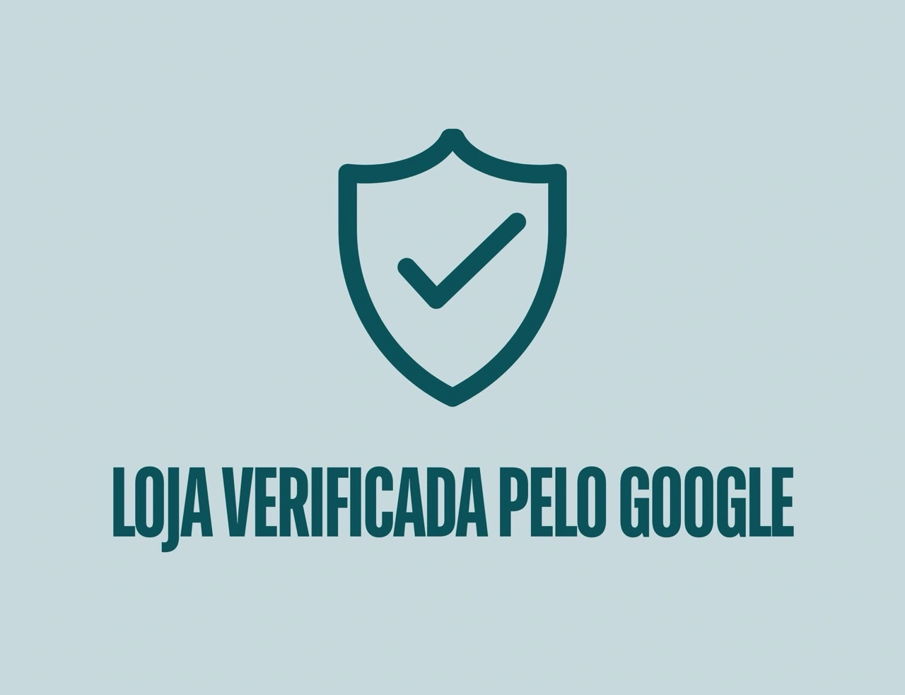 Imagem 0 da seção 1