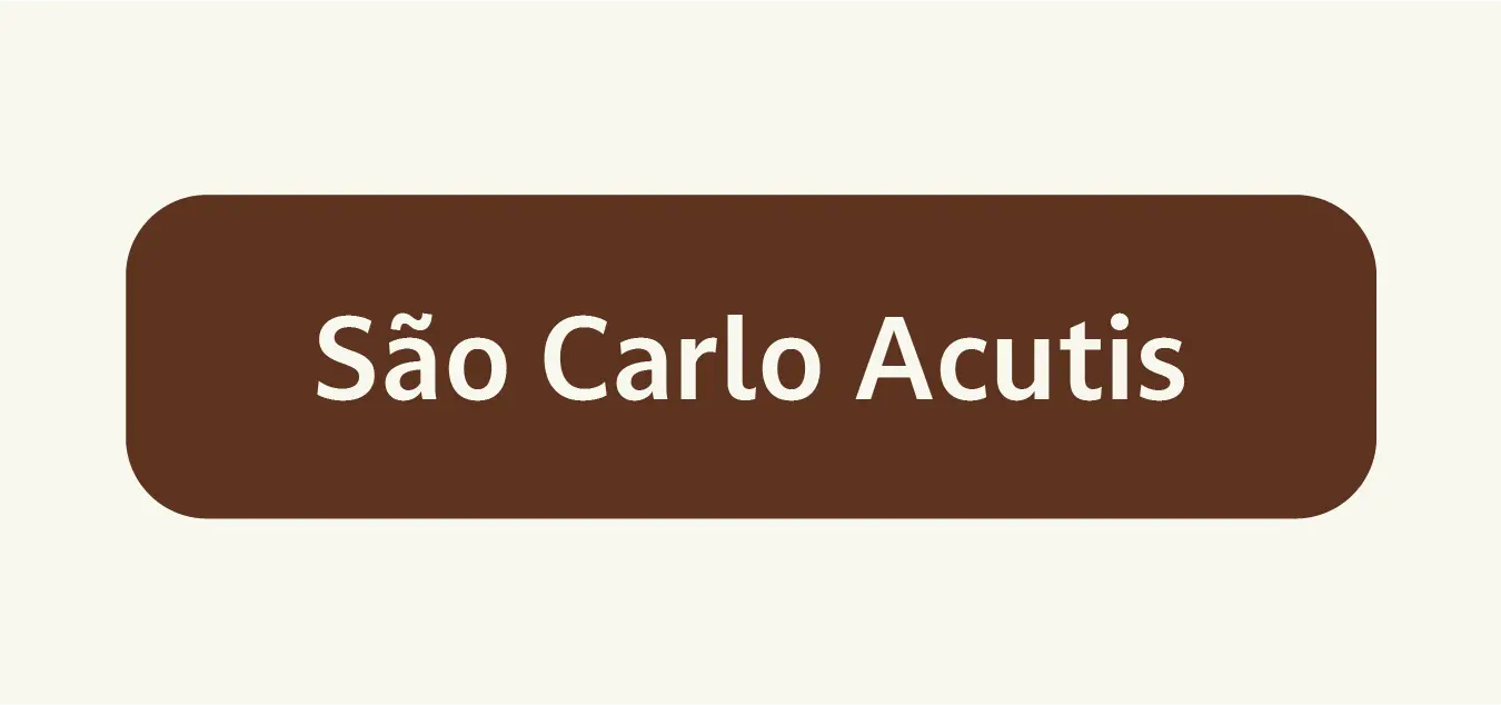 Imagem 0 da seção 5