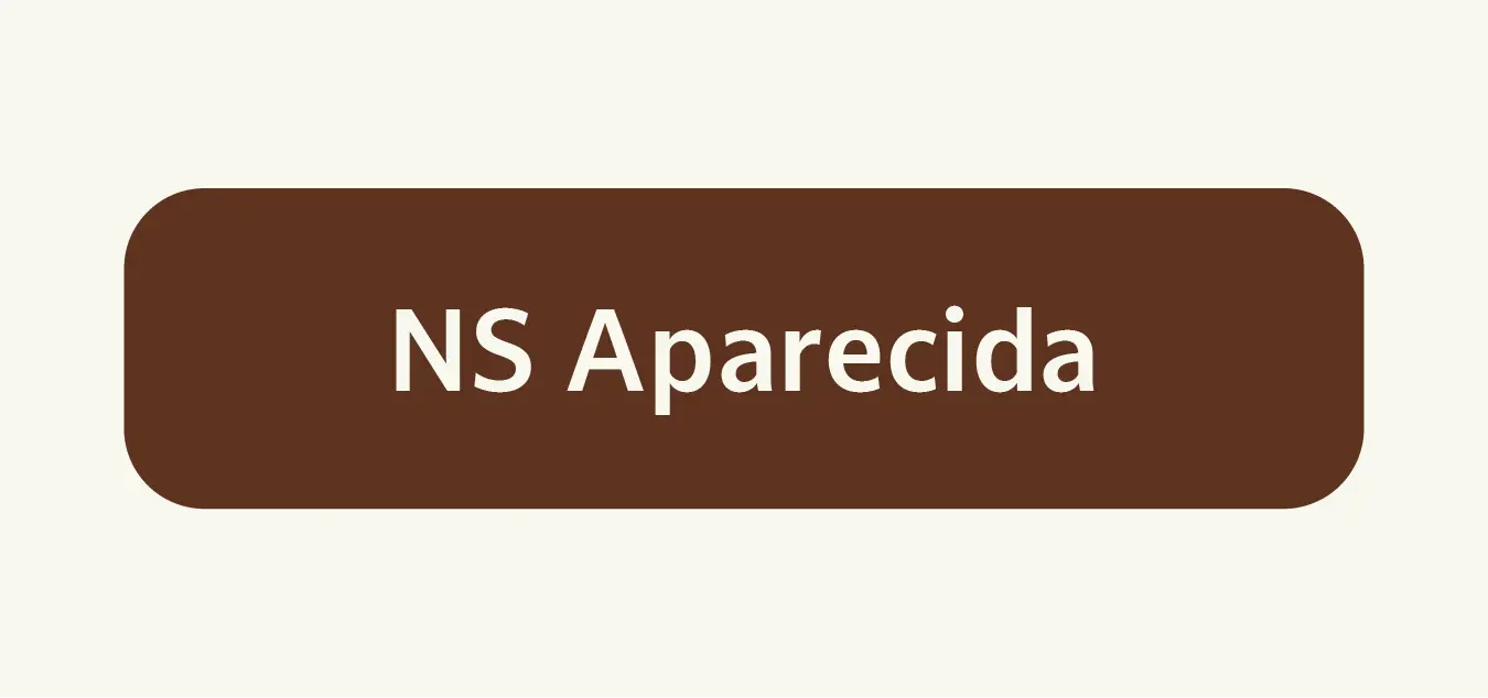 Imagem 0 da seção 4