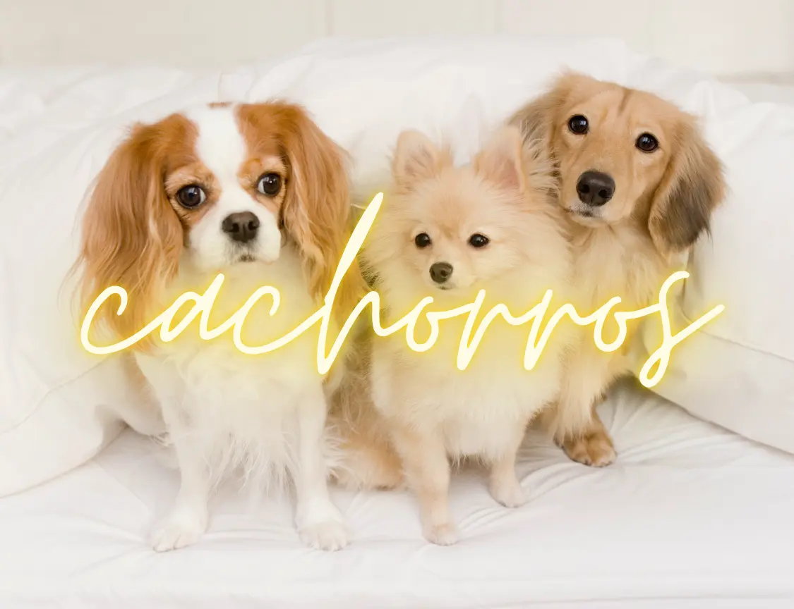 Mini banner