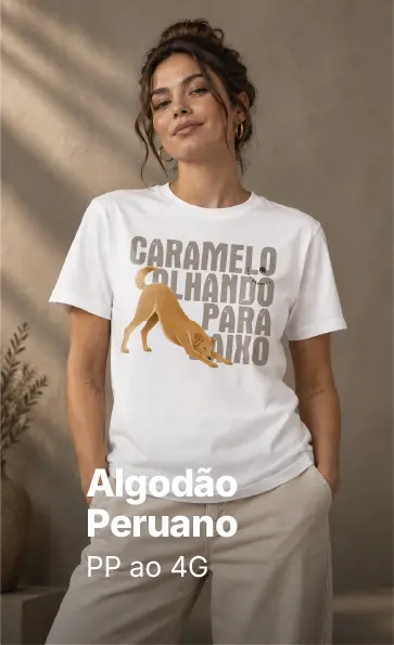 Imagem 0 da seção 11