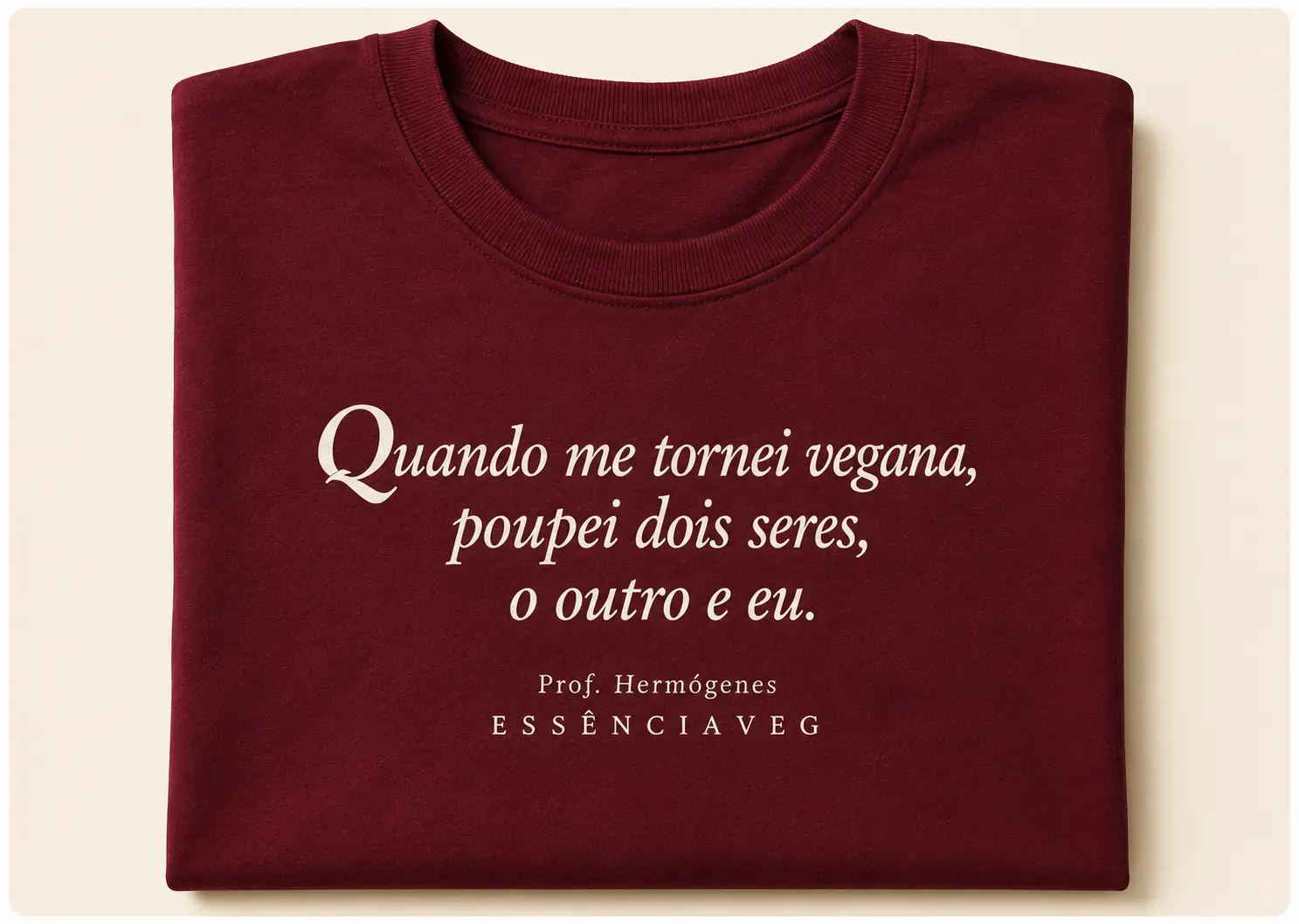Imagem 2 da seção 13