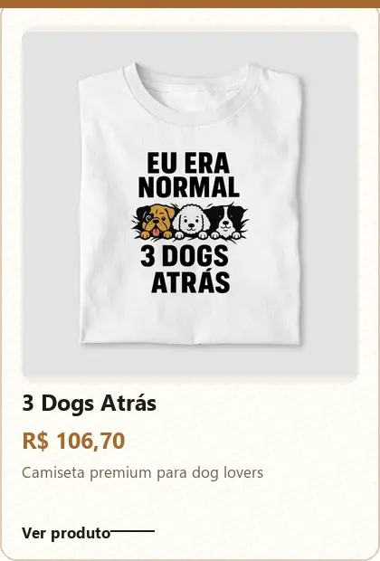 Imagem 2 da seção 10