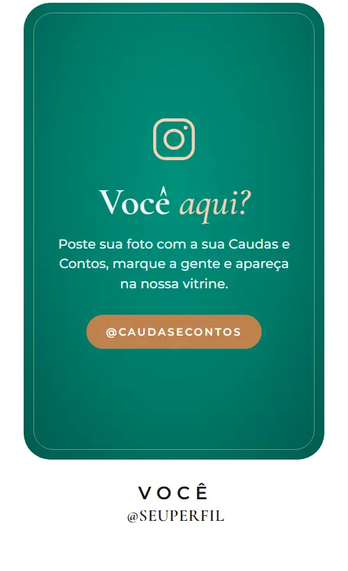 Imagem 3 da seção 11