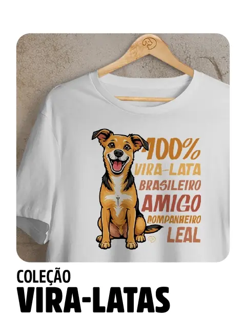 Imagem 1 da seção 2
