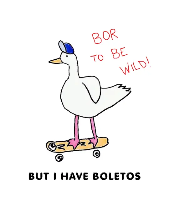 Imagem 0 da seção 5