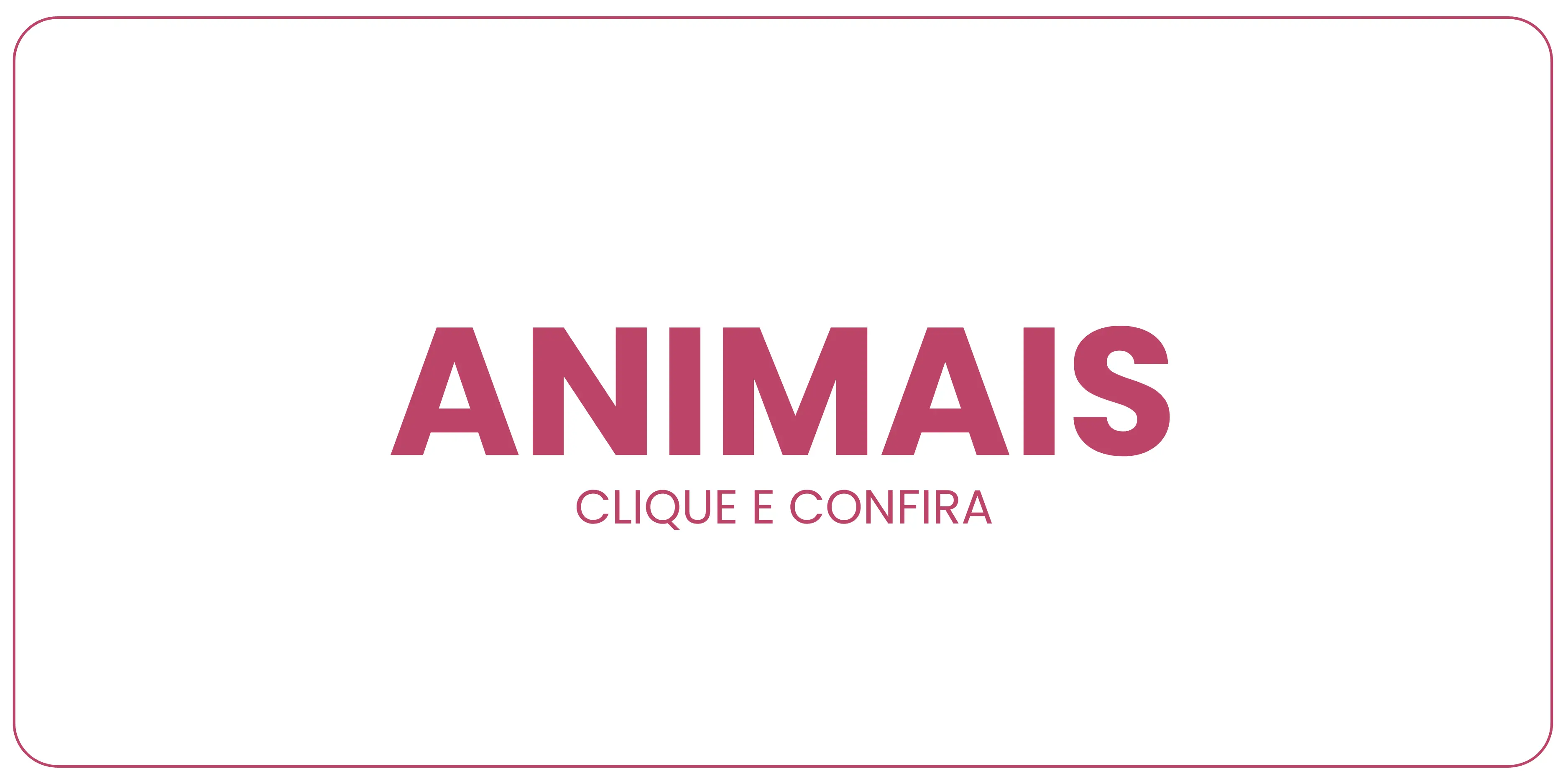 Imagem 3 da seção 7