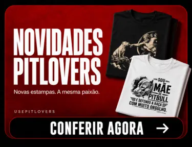 Imagem 3 da seção 1