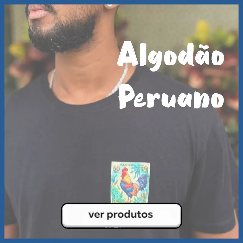 Imagem 1 da seção 5