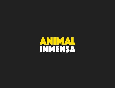 Mini banner
