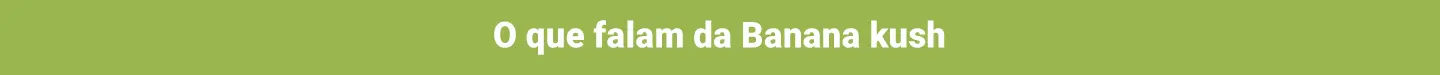 Imagem 0 da seção 10