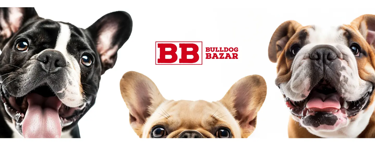 Ultimo banner