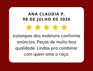 Imagem 3 da seção 6
