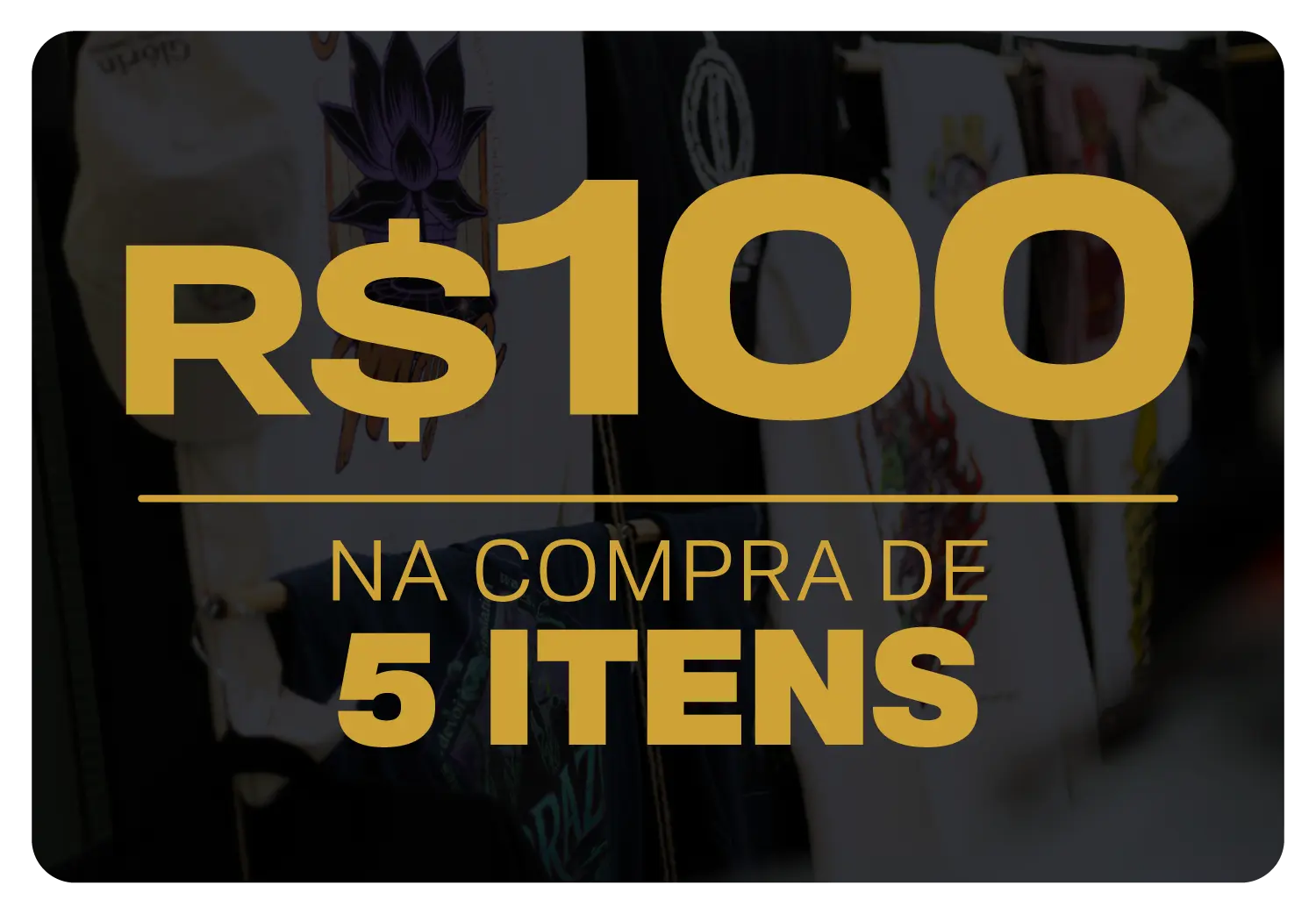 Imagem 3 da seção 1