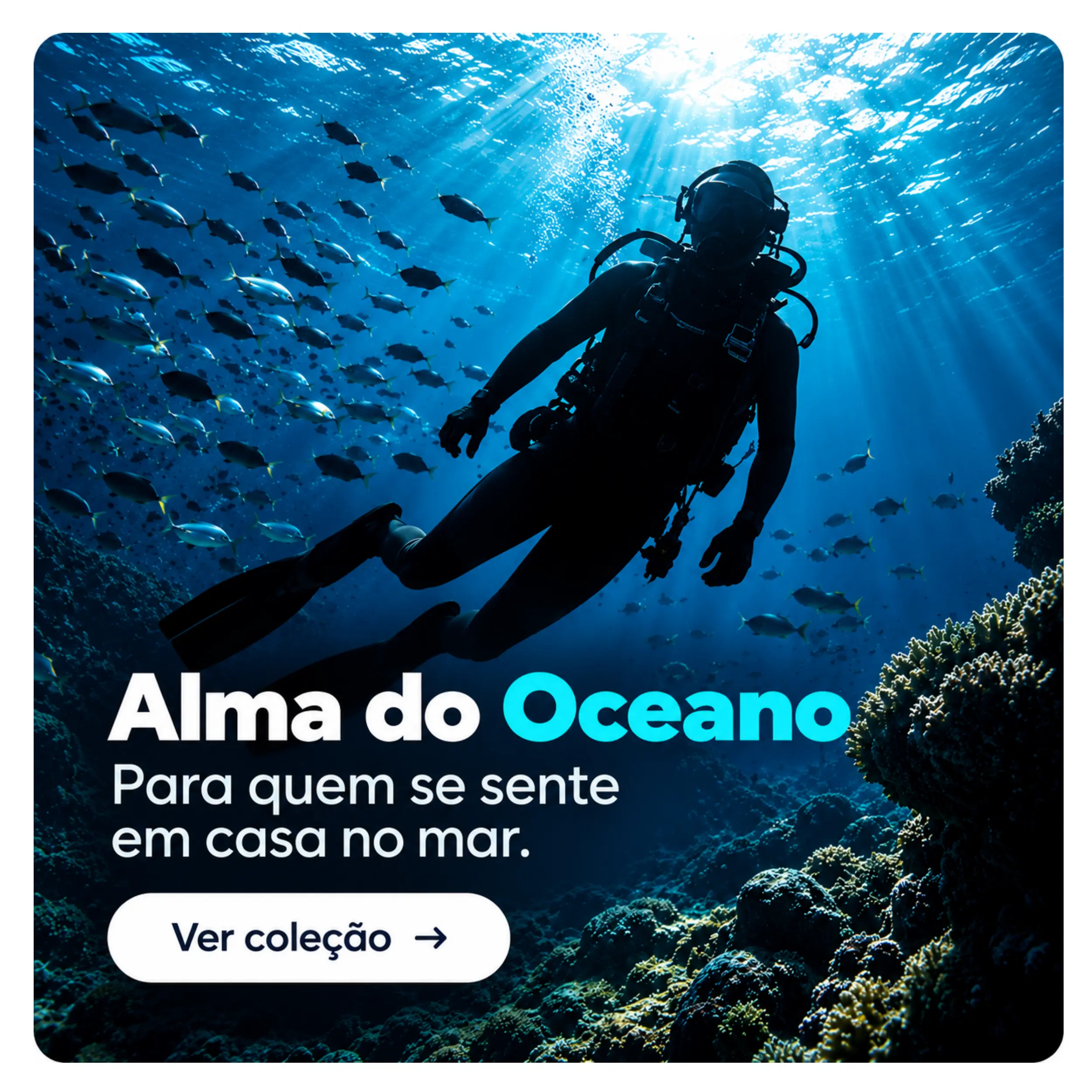 Imagem 0 da seção 3