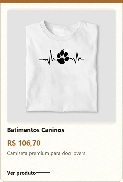 Imagem 3 da seção 4