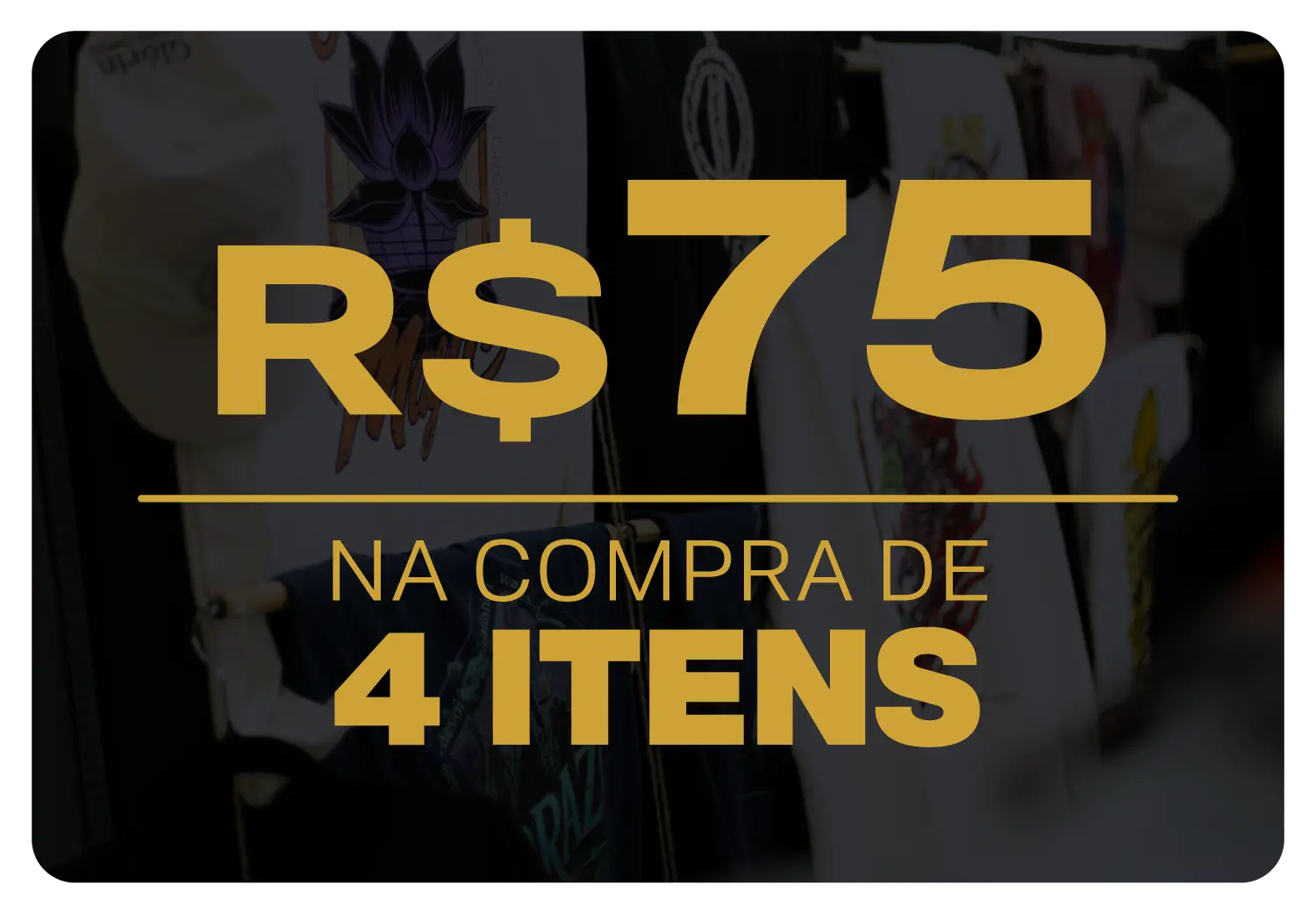 Imagem 2 da seção 1
