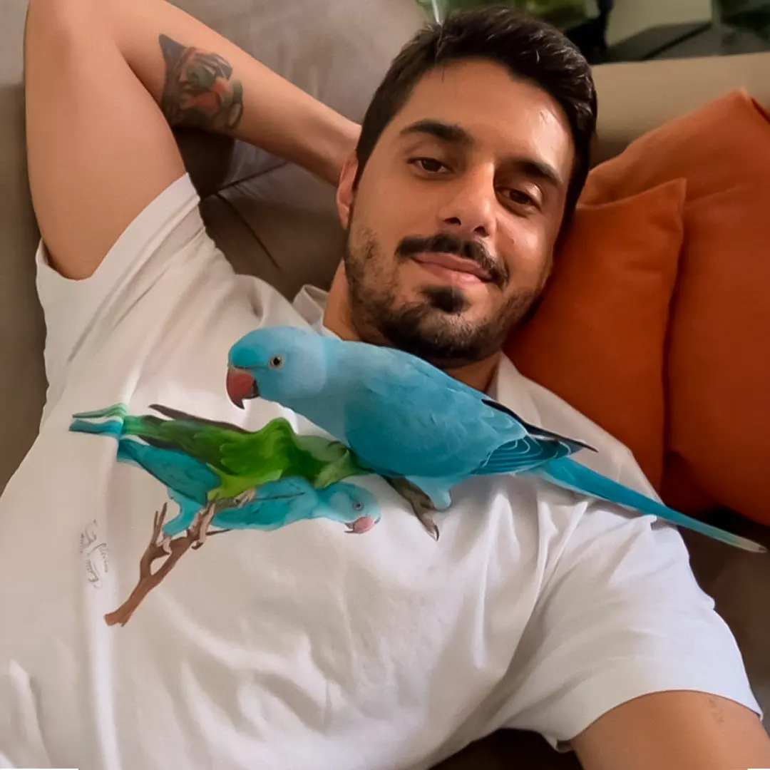Imagem 1 da seção 6