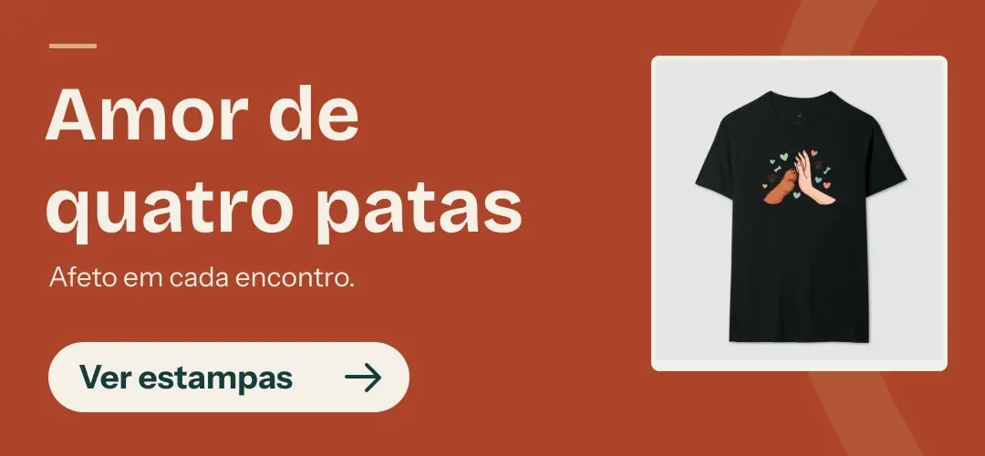 Imagem 1 da seção 1