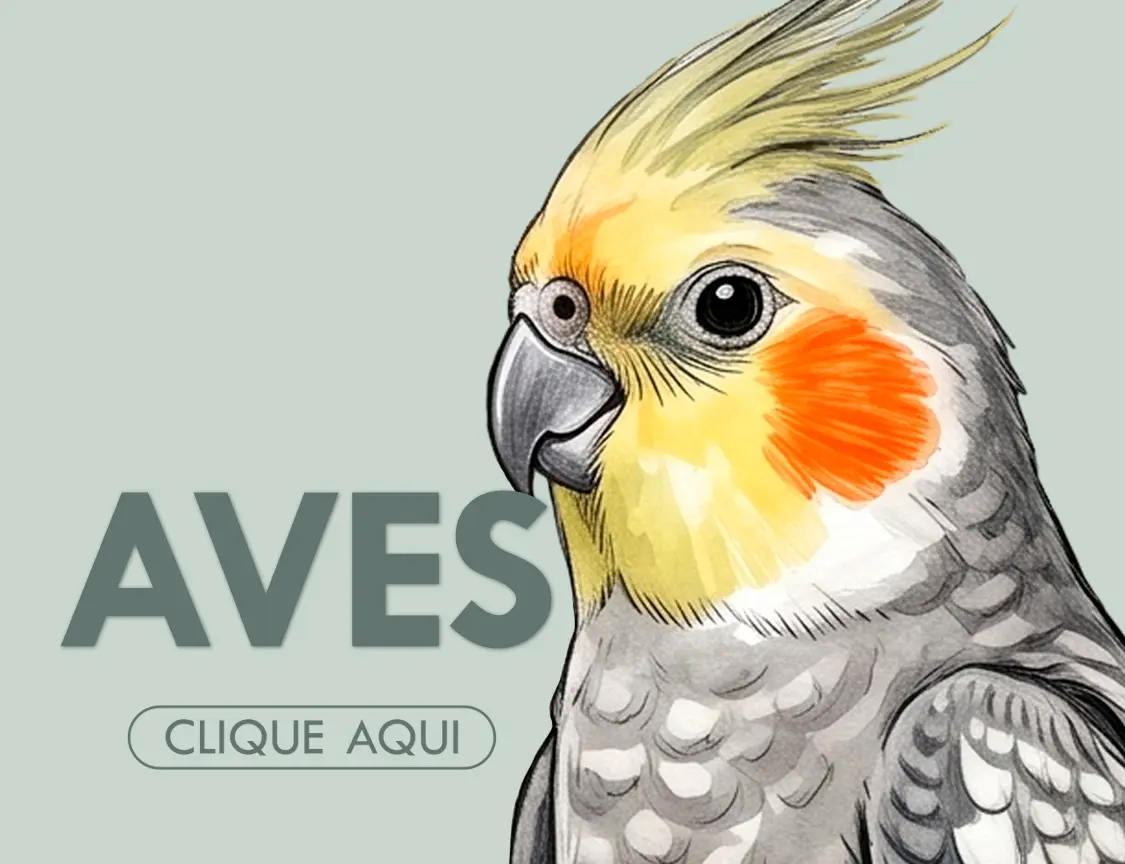 Mini banner