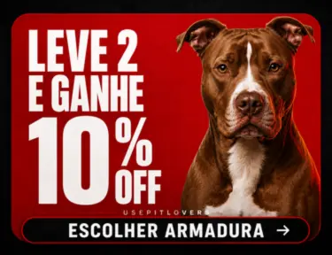 Imagem 1 da seção 1