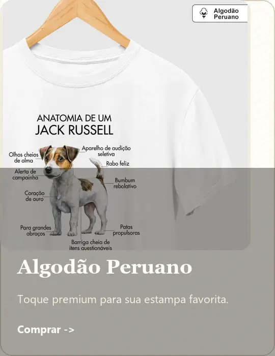 Imagem 1 da seção 2