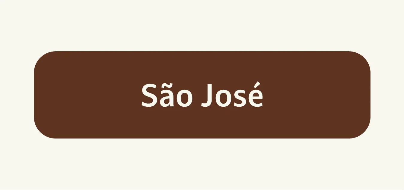 Imagem 2 da seção 4