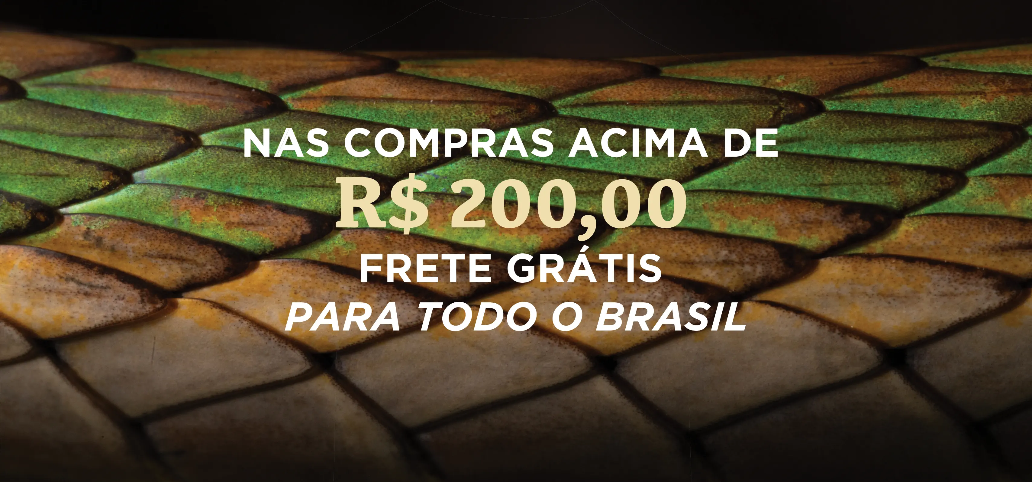 Ultimo banner