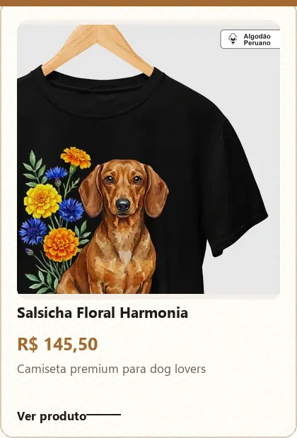 Imagem 2 da seção 4
