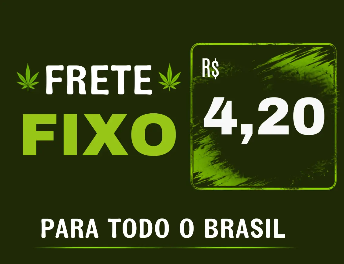 Imagem 1 da seção 2