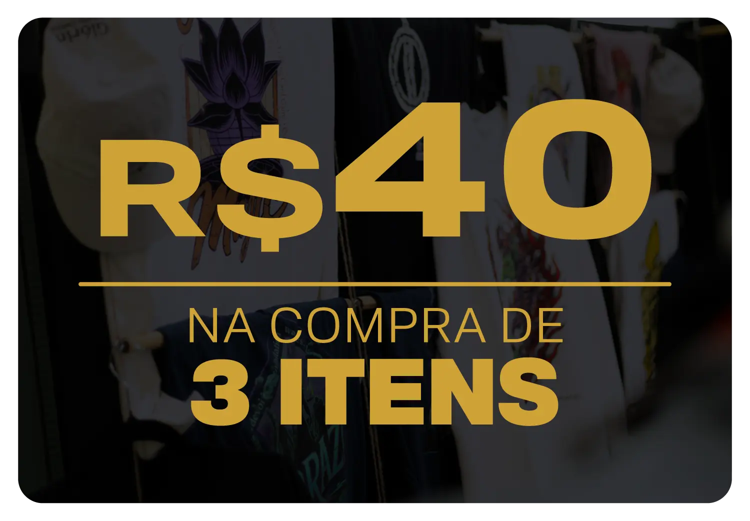 Imagem 1 da seção 1