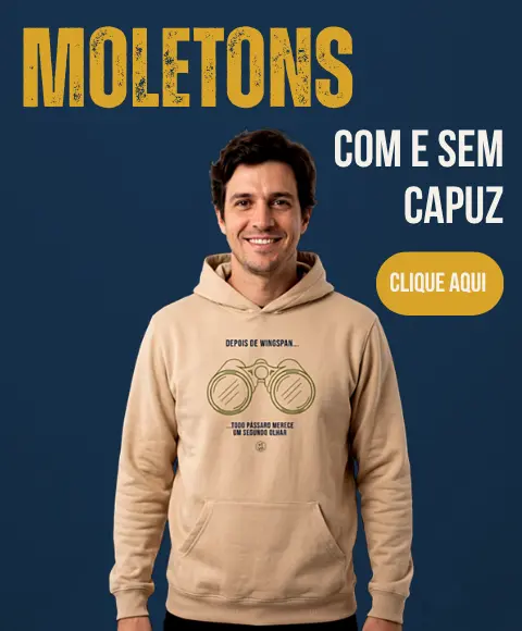 Imagem 1 da seção 4