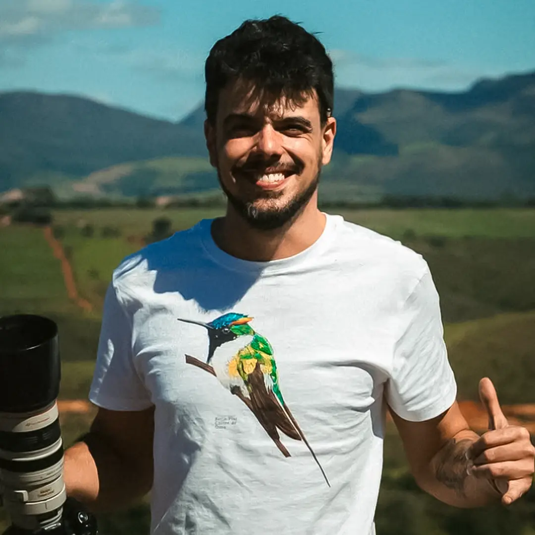 Imagem 4 da seção 6