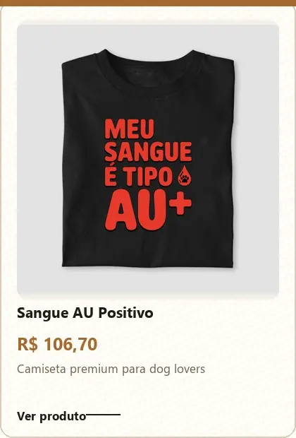 Imagem 1 da seção 4