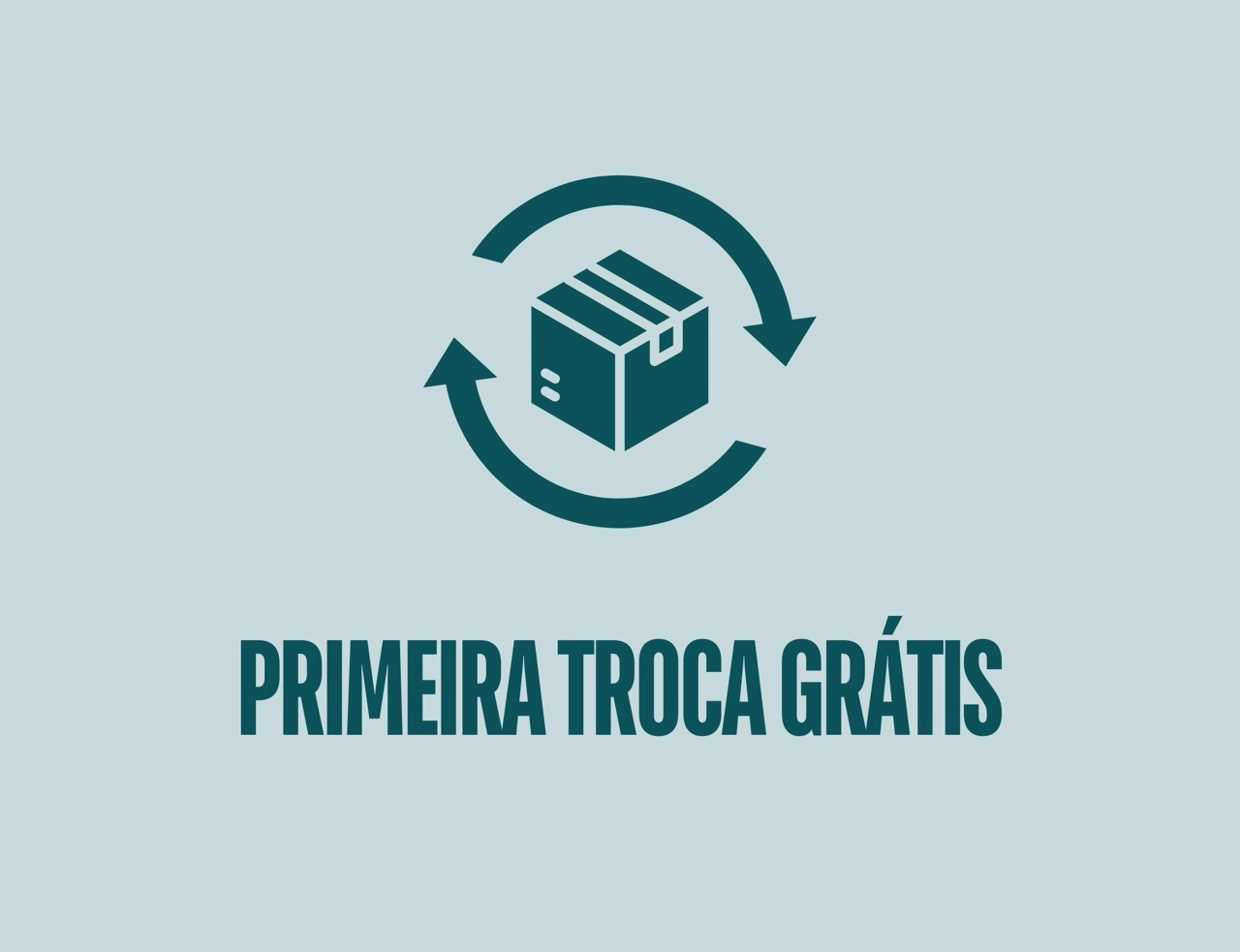 Imagem 1 da seção 1
