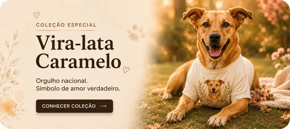 Imagem 1 da seção 5