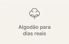Imagem 3 da seção 2