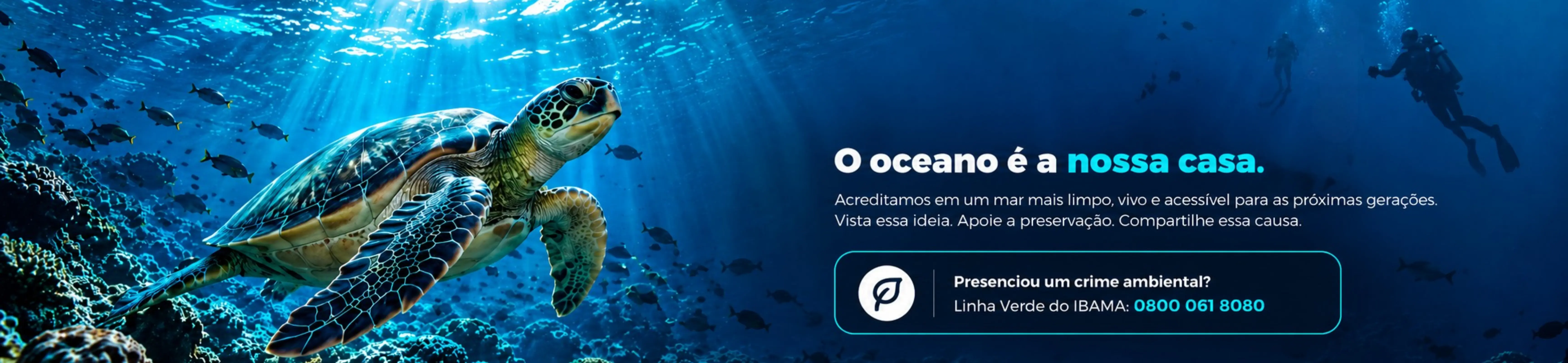 Imagem 0 da seção 8