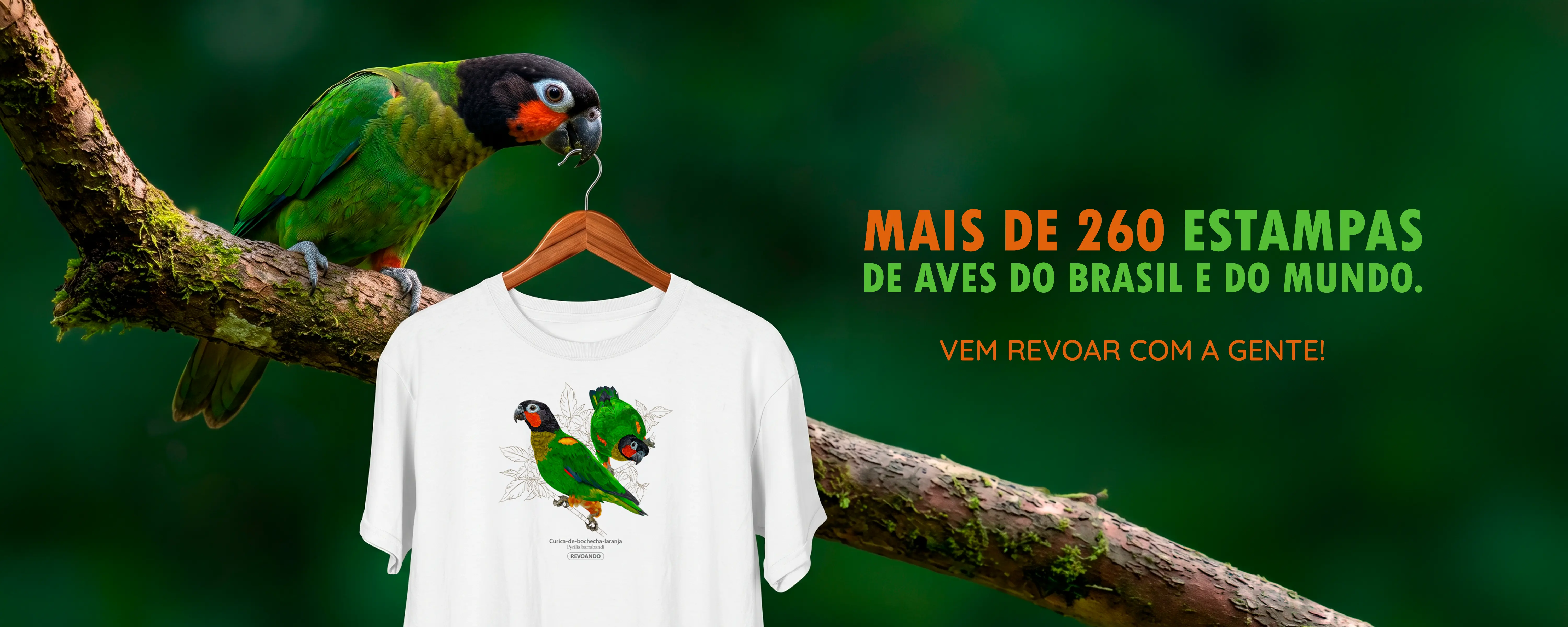 Imagem 0 da seção 0