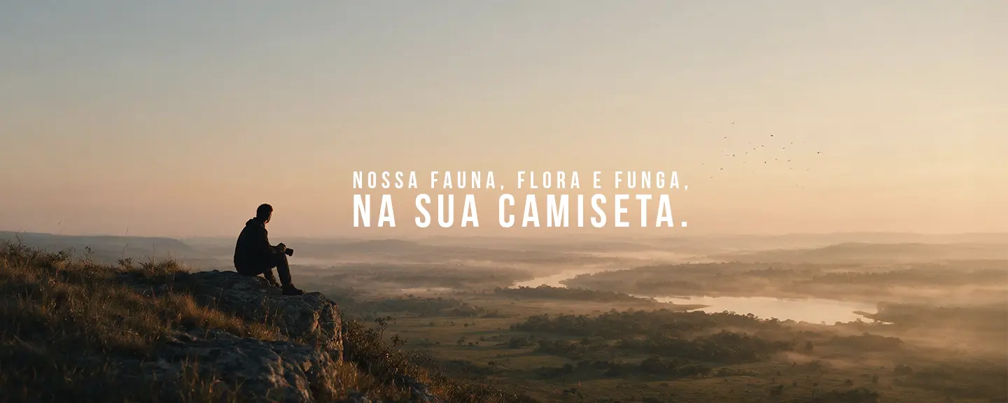 Imagem 0 da seção 4