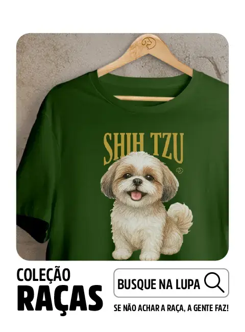 Imagem 4 da seção 2