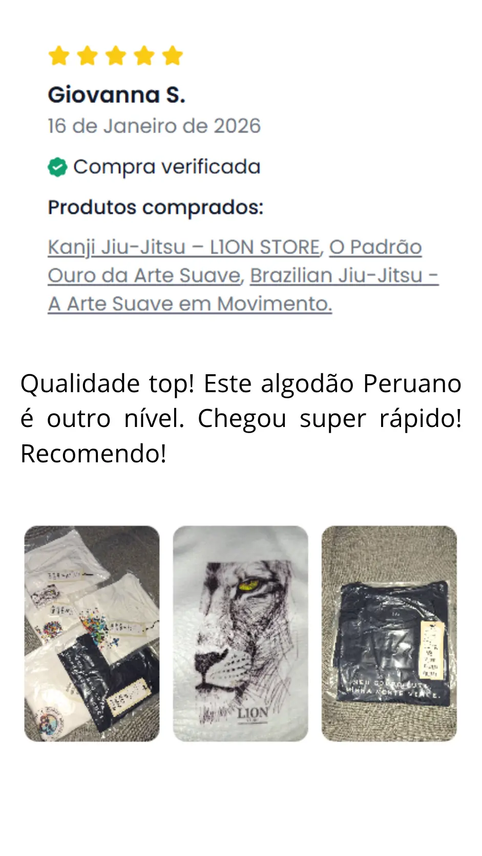Imagem 2 da seção 11